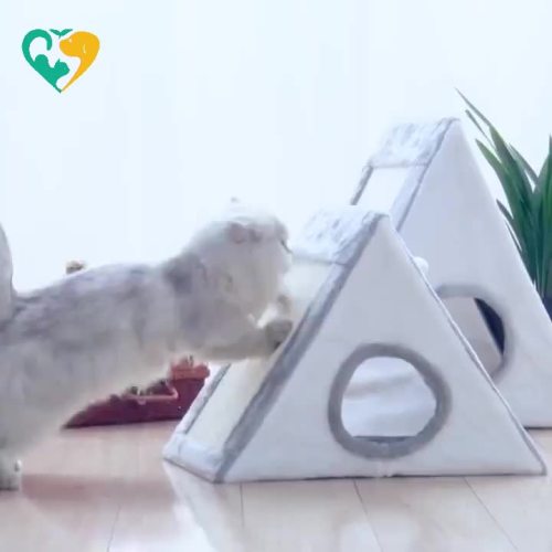 cat house bed