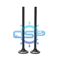 High Quality Coat Marine Engine Valves - Intake and Exhaust Valves for MAN M&W 16/24 W161111357-0395A001