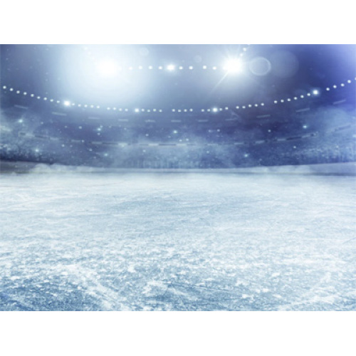 L’innovation verte et l’intégration intelligente stimulent l’industrie mondiale des surfaceurs de patinoires en 2026