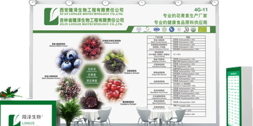 Difference Between Anthocyanidins and Anthocyanins