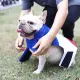 Dog Lifesaver Preserver-badpak