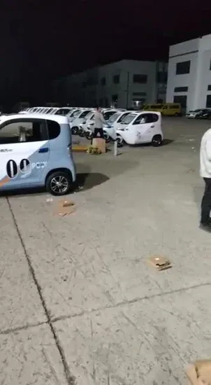 EEC Approval Mini Electri Car Adult1
