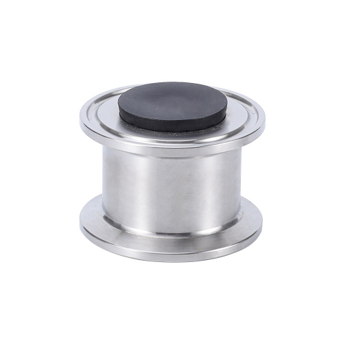 6213A 1.5 Inch Stainless Steel Check Valve