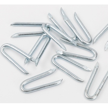 China Top 10 Galvanized U Nails Brands