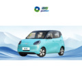 2025 Chinese Wuling Hongguang Mini Electric Car - Long Range New Energy Vehicle1