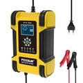 Foxsur 12V 12A - 24V 6A 7-Stage Battery Charger for Lead-acid, AGM, LiFePo4, and Lithium Batteries1