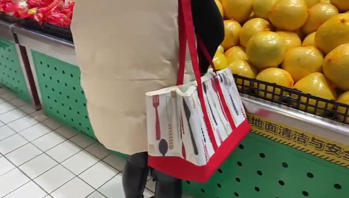 folding picnic bags 