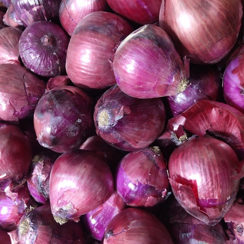 7301 Top Quality Fresh Red Onions