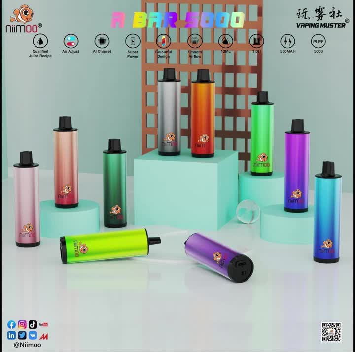 바 vape 5000