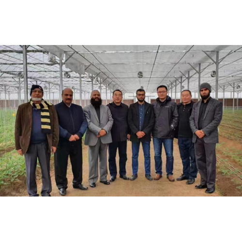 Multi-span film greenhouse project in Pakistan