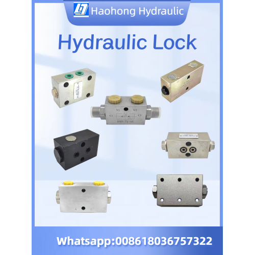 Hydraulic Double Check Valve