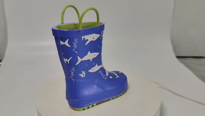 Botas de chuva diárias