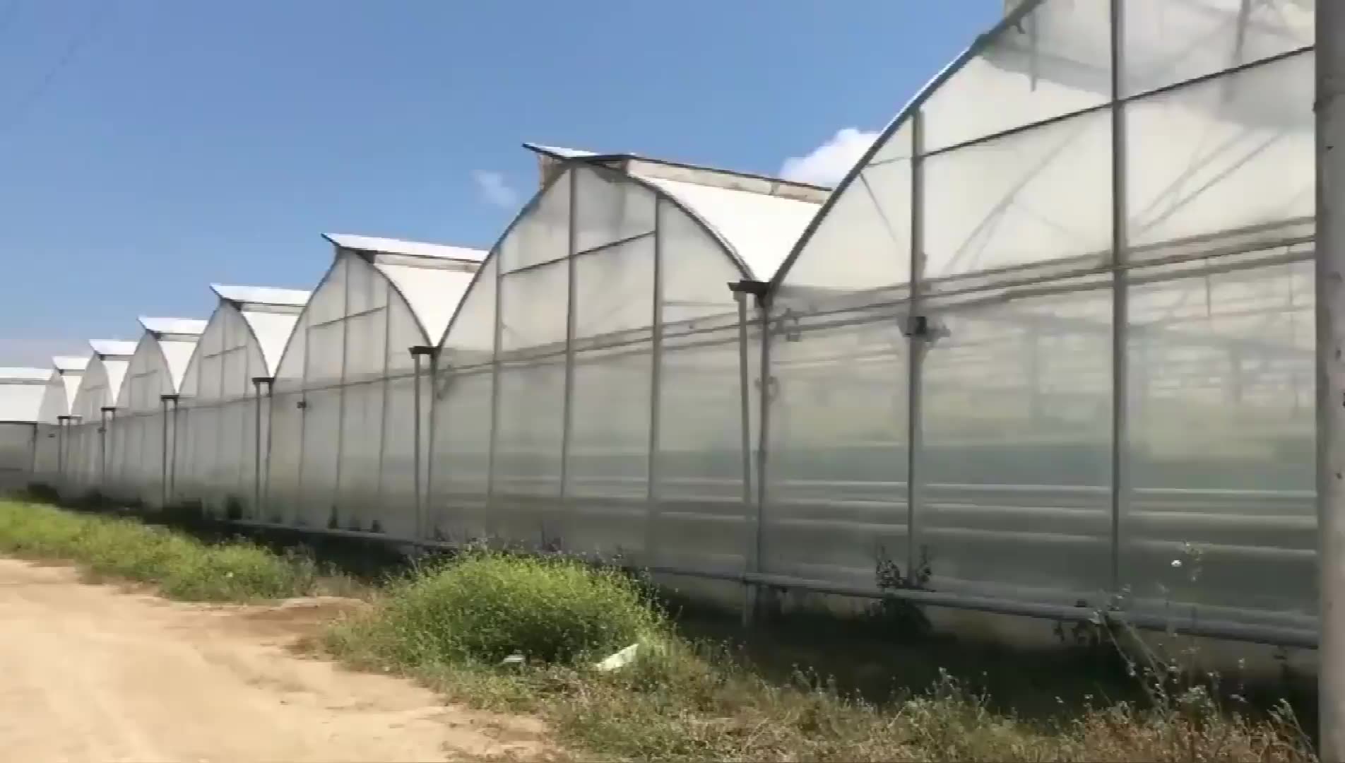 Greenhouse de film multipan agricole avec système hydroponique pour la fraise / tomato1