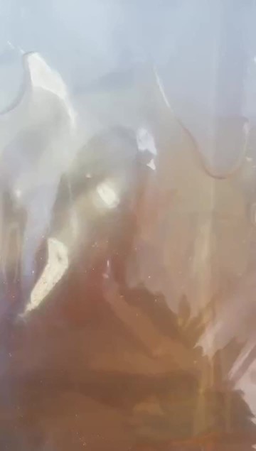 resistant dextrin liquid