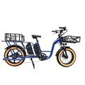 Long Range Dual Battery 750W Electric Fat Bike: The Ultimate Delivery Cargo Cycle for Families1