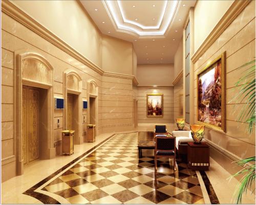 Craftsmanshipshushing ejemplar y excelencia a medida: elevando la experiencia del ascensor