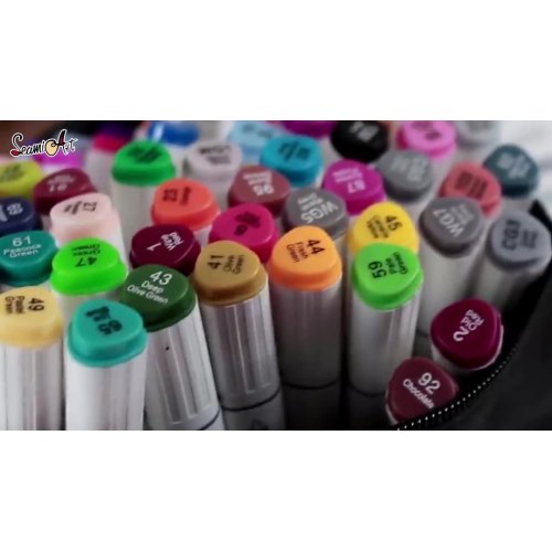 Bulk sale Color copic Marker alcohol sketch Dual Tip alchohol marker twin markers pens 168 color marcadores for Art supplies1