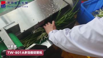 Multifunctional vegetable cutter