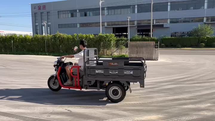 three wheel electric vehicle