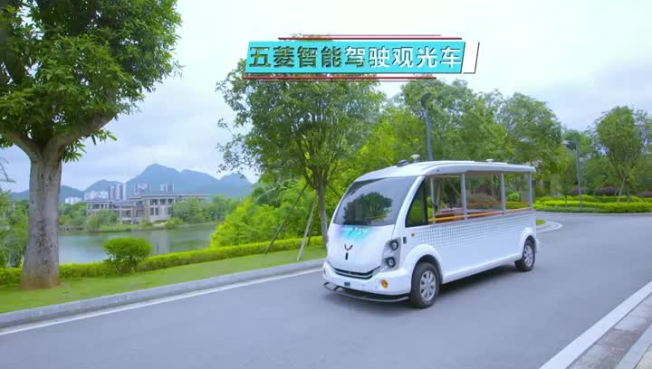 lead-acid electric vehicle