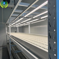 MYXL Agricultural Equipment: Plant Growing Trays and Grow Racks1