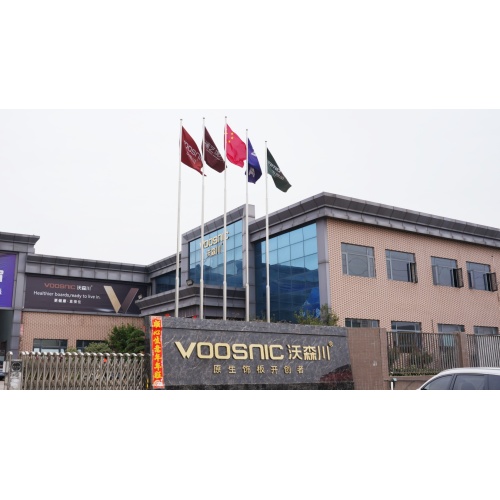 Cerimônia de realocação da empresa VOOSNIC Guangdong