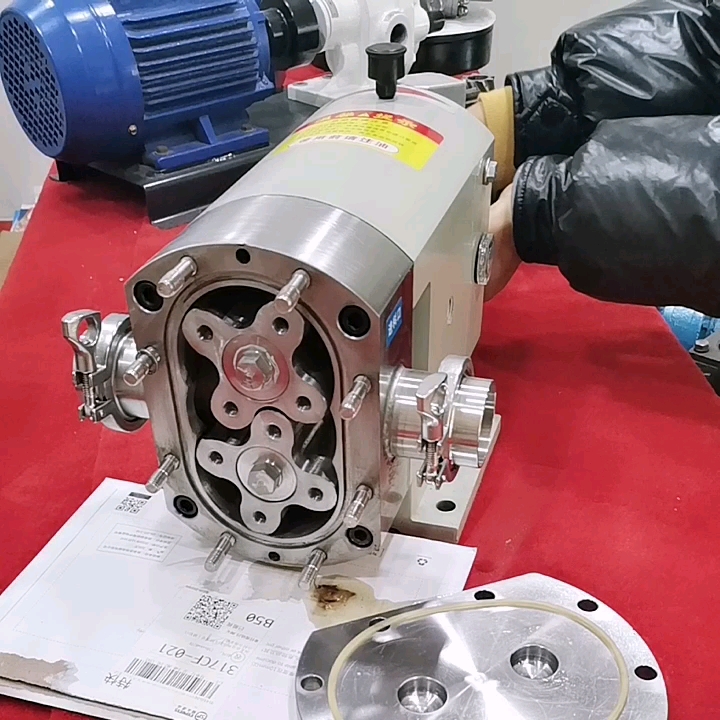Pompe rotative à viscosité élevée Pompe de transfert de rotor réducteur 1