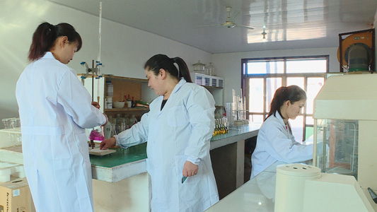 shijiazhuang city xinsheng chemical co.,ltd