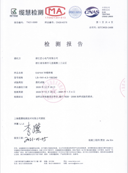 Inspection Report