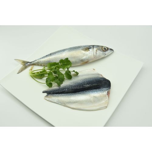 mackerel fillet