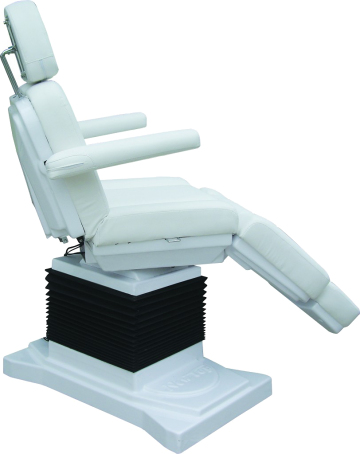 2009-1 Multifunction Beauty Electric Facial Bed