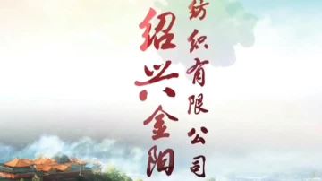 company introduction