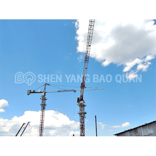 Inspection points for tower cranes