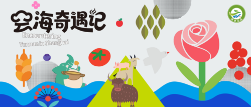 Hali Coffee debuta en el evento de promoción de marca ecológica de Yunnan "Misty Cloud Adventure" de 2025