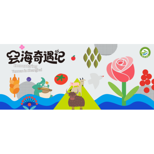 Hali Coffee debuta en el evento de promoción de marca ecológica de Yunnan "Misty Cloud Adventure" de 2025