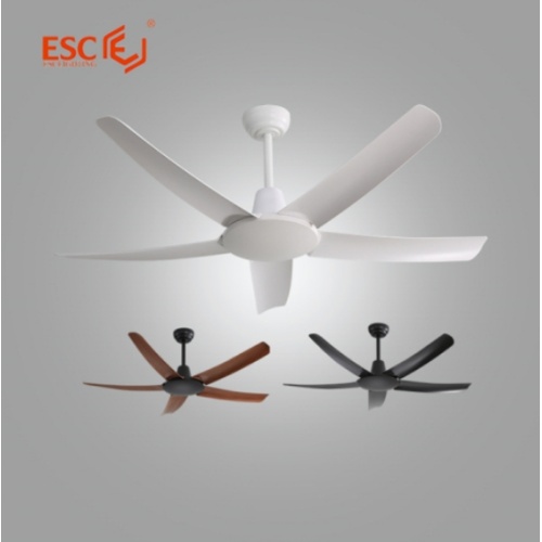 Unveiling the Diversity of Ceiling Fans