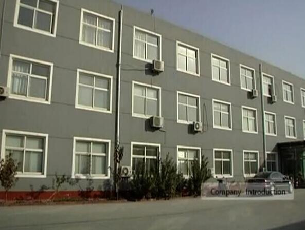 Hebei Dongshengyuan Trading Co.,Ltd.