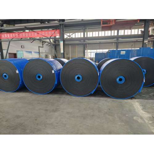 The Spring Festival is a time for progress and enterprise is busy with production