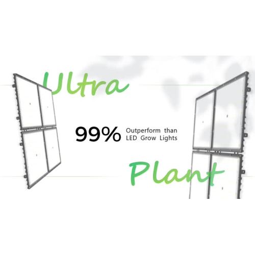 Описание продукта Ultra Plant