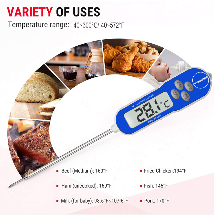 Thermomètre à viande de cuisson numérique à sonde de 30 cm avec sonde à pointe réduite 1,8 mm