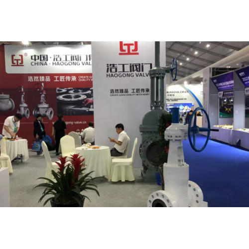 2022 Китай (Вэньчжоу) Intl Pump & Valve Fair