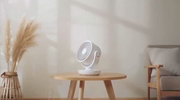fan2222222222