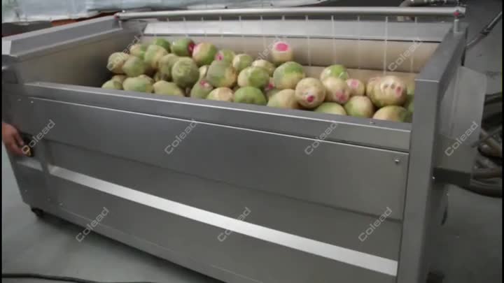 Radish peeling machine