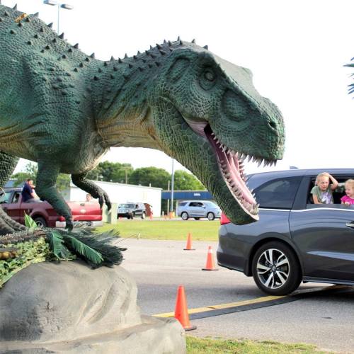 Learn About The Common Types And Application Scenarios of Life Size Dinosaur Models