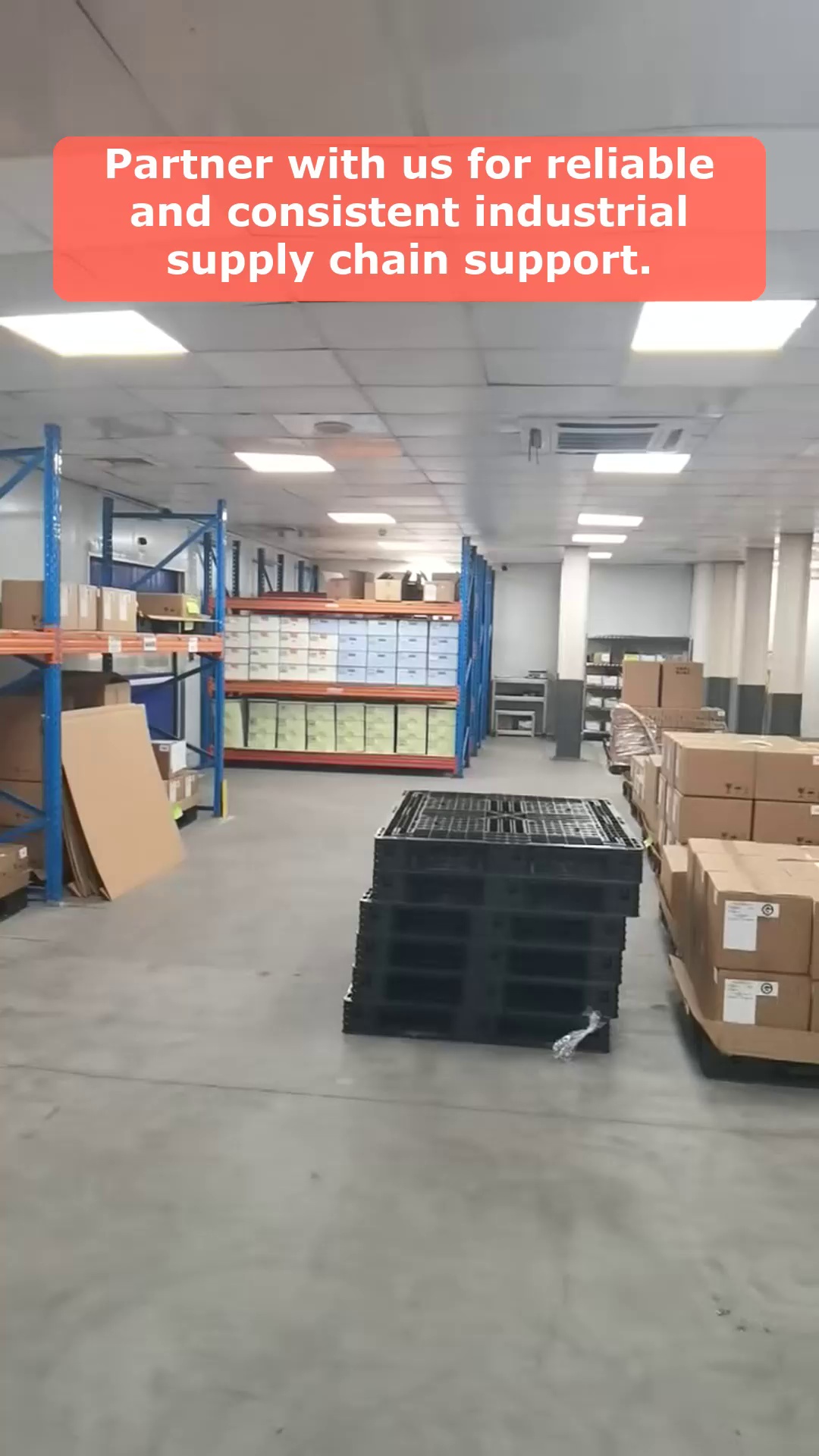 Vídeo 46