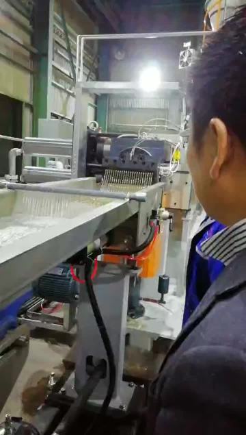 Strand Pelletizing_Wet cutting