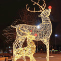 New Style Motif Gift Lights with Deer Balls for Festivals and Holidays - Outdoor Use1
