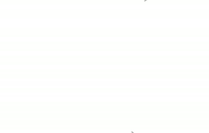 Quanxu SS-930L Silica Matting Agent