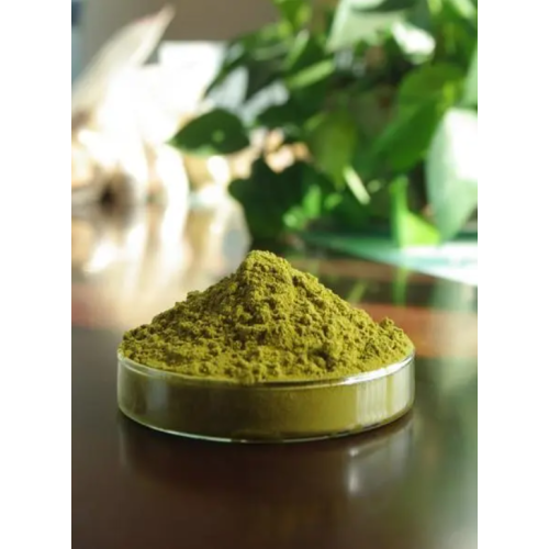 Unveiling the Power of Herb Extract: Revolutionizing Health and Wellness