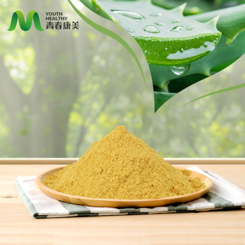 Come utilizzare la polvere di estratto naturale di aloe vera al 98% 99% nella cura della pelle fai-da-te